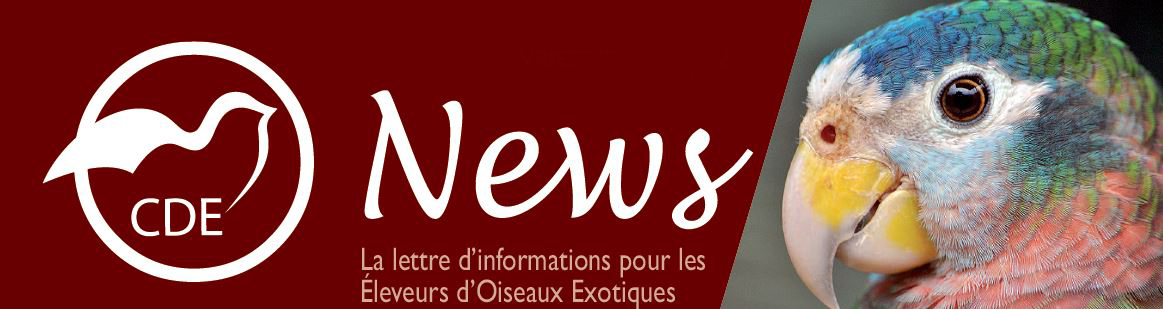 club-des-elevages-d-oiseaux-exotiques-hjegk